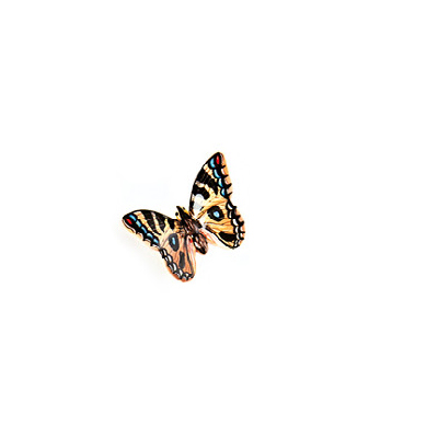 Produkt Schmetterling